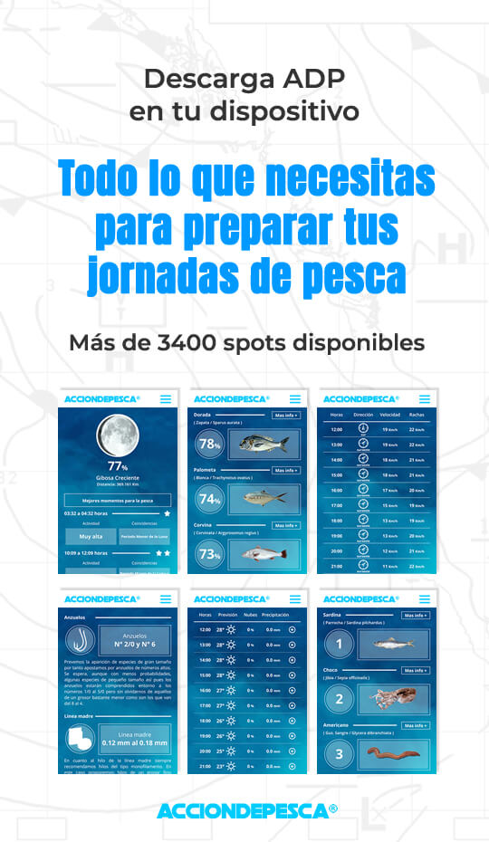 tabla de mareas 2020